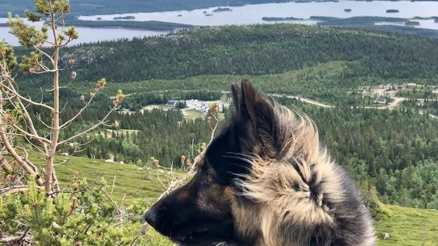Utsikt  från Galtispouda.