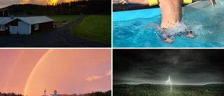 Här är läsarnas inskickade sommarbilder från vecka 28