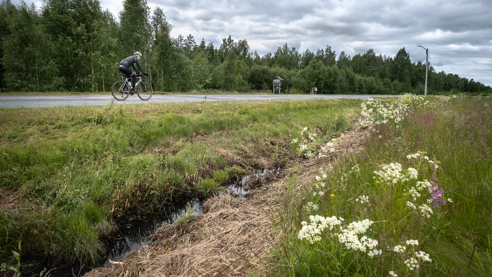 Trafikverket svarar på varför man klipper gräset i dikesresningarna under fåglarnas häckningsperiod.