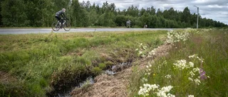 Tack Skellefteå kommun för dikesslagningen