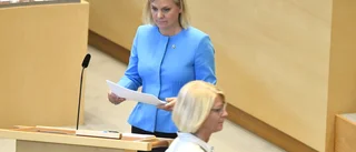 Regeringen: Fler stödåtgärder "inom kort"