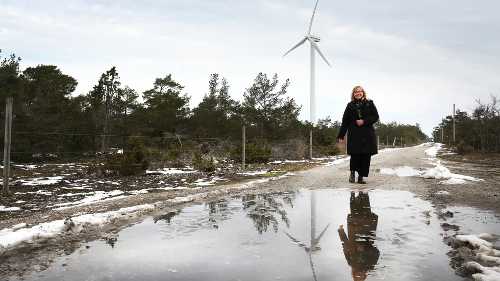 Proppen ur för förnyelsebara energikällor på Gotland. Det menar Eva Nypelius efter beskedet om att det blir en tredje elkabel till Gotland.