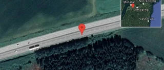 Rådjur på vägen