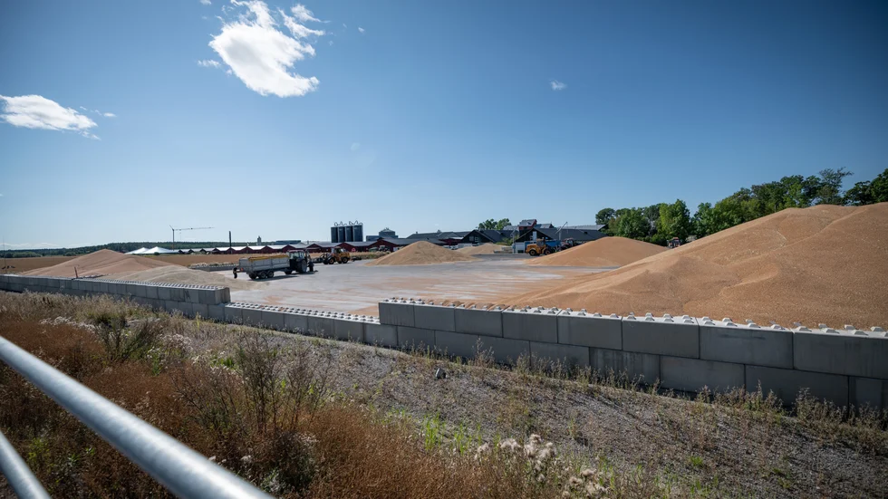 Stora högar spannmål huserar numera på ett asfalterat område vid Kungsängens gård.