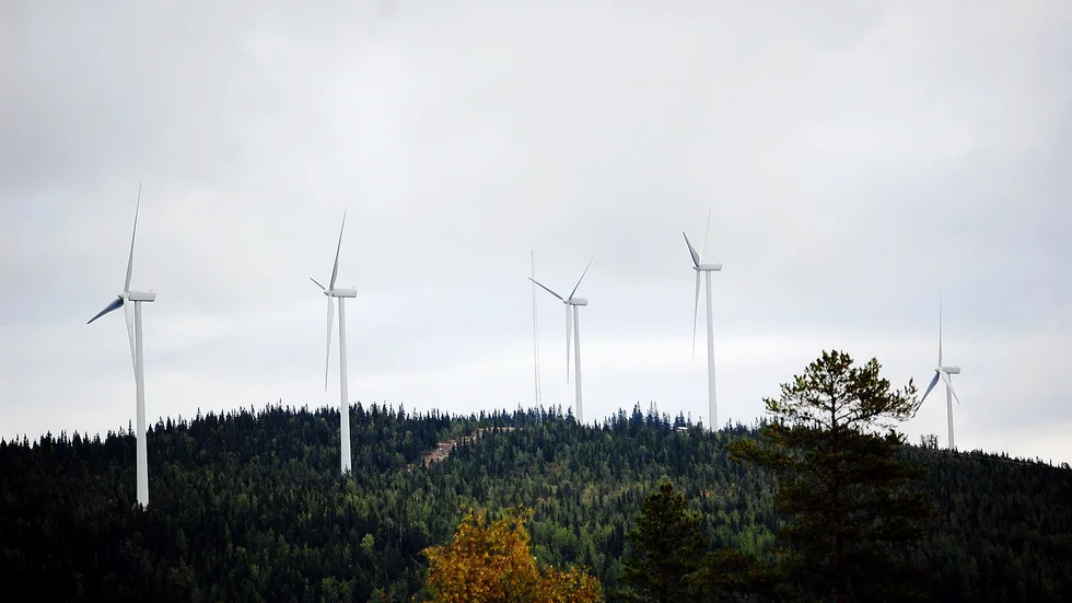 En ny vindkraftspark planeras i Östra Norrbotten. Bilden är en genrebild och föreställer inte de aktuella planerna.