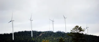 Här planeras ny vindkraftspark i Norrbotten