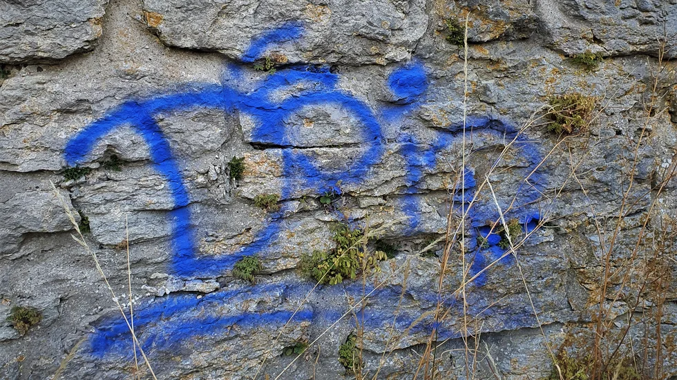 Ordet graffiti kommer enligt Wikipedia.se från italienskans graffito som betyder ristning, eller från grekiska graphein som betyder skriva.