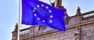 EU-inträdet blev början till el-eländet