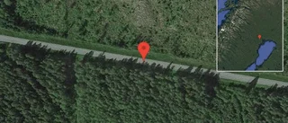 Fallna träd skapar problem i trafiken på väg 605