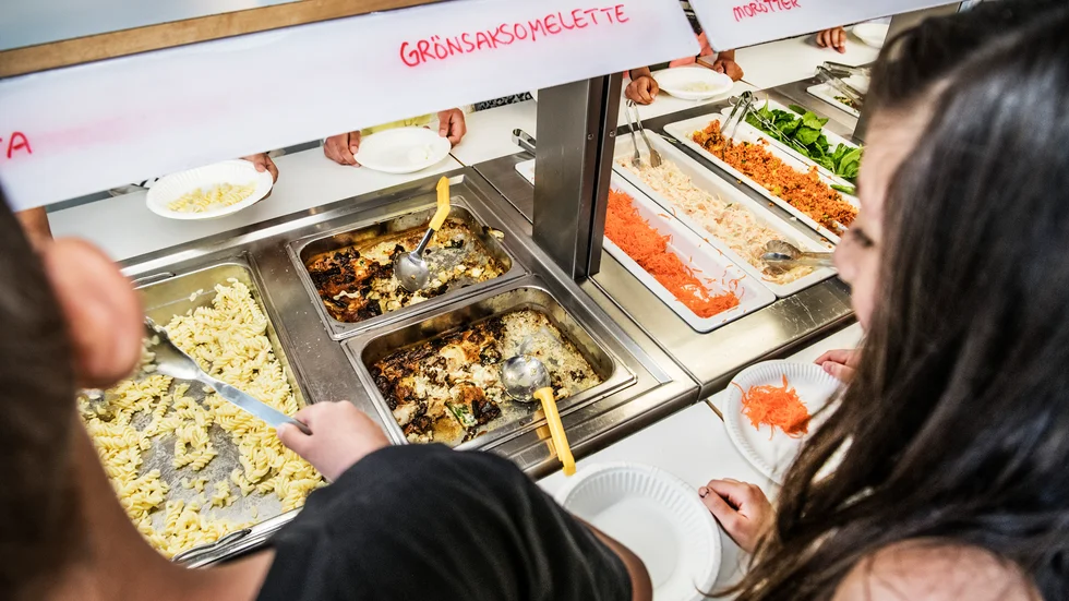 Insändarskribenten anser att Sörmlands förskolor ska förbjuda servering av kött i förskolorna. Arkivfoto