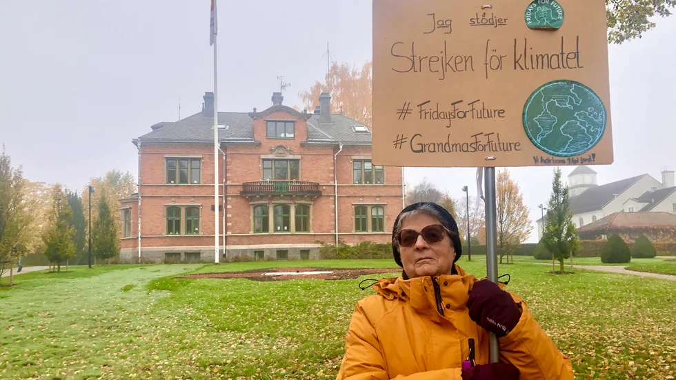 Miljöaktivisten Dorothee Hildebrandt hånas på Facebook för sitt engagemang i klimatfrågan. 