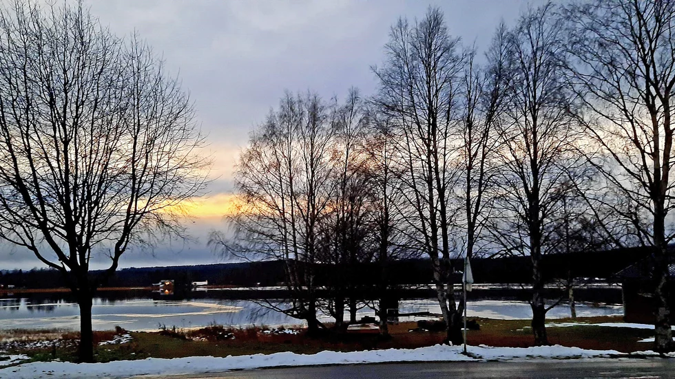Lena Johansson fotograferade kvällsutsikten över Buddbyträsket. 