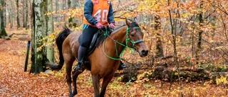 Framgångar för Tjust Distansklubb