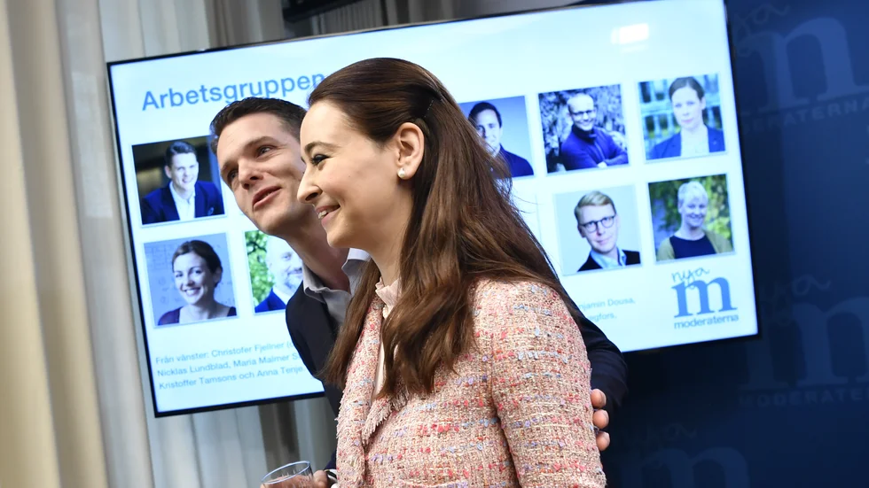 Christofer Fjellner och Alice Teodorescu har varit ordförande respektive huvudsekreterare i arbetet med M: nya idéprogram. Programmet ska antas på en partistämma nästa höst. 