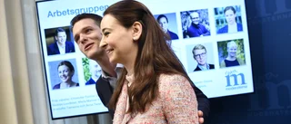 Idéer för ett parti som inte vill vara radikalt