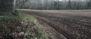 Nu växer nya naturreservatet i Motala - kan bli ännu större
