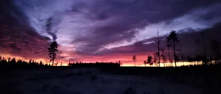 Läsarbilden                    