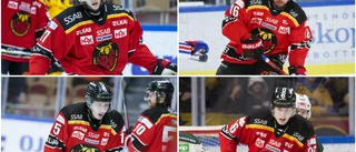 Forwardskrisen: Då kan den skadade kvartetten i Luleå vara tillbaka