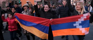 Armeniens premiärminister säger ja till nyval