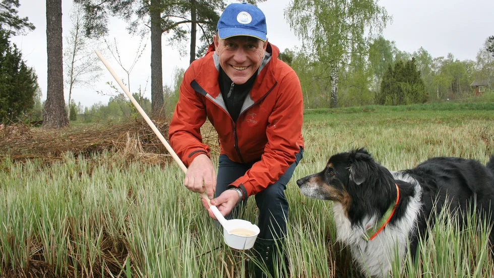 Jan O Lundström är verksamhetsledare i biologiska myggkontroll. Han berättar att myggen nu troligtvis kommer att börja dö ut för i år.