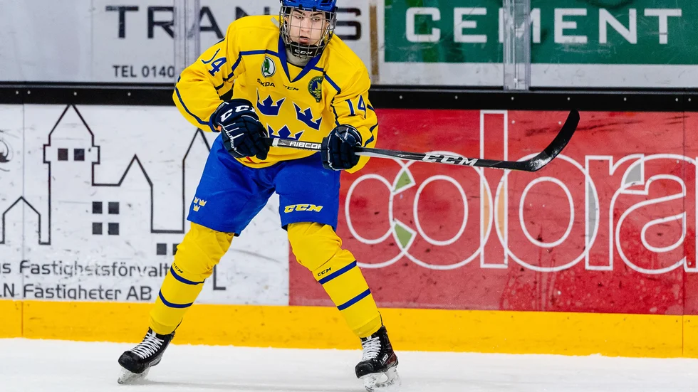 Daniel Ljungman under en U17-landskamp mot Ryssland förra året.