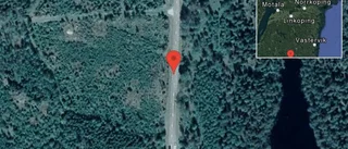 Fallna träd skapar problem i trafiken