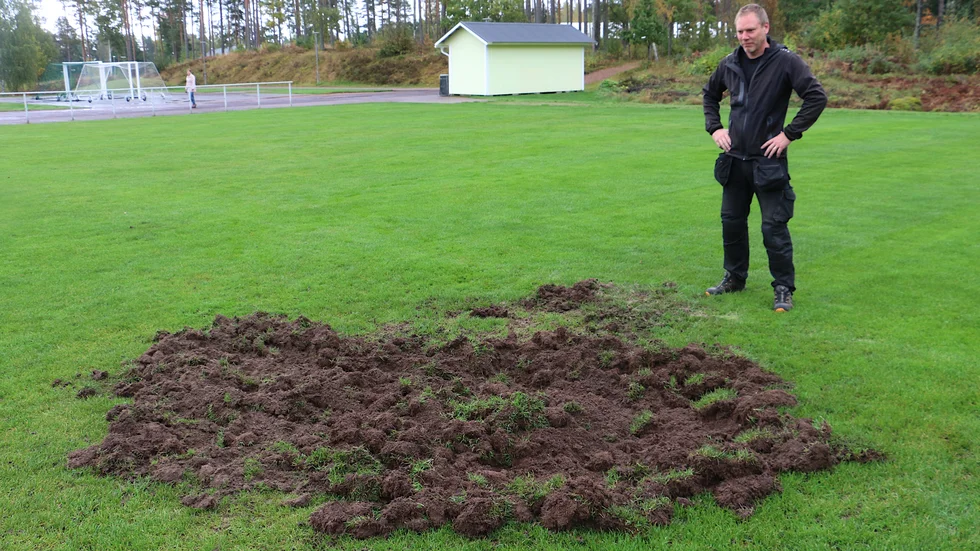 Skadorna är inte värre än att de går att ordna, tror vaktmästaren Olof Eklöv. Men det är samtidigt tur att säsongen är över.