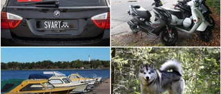 Här är det norrbottningar söker efter på Blocket