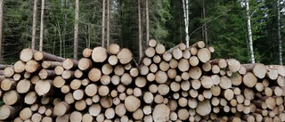 Skogen måste få ha ett ekonomiskt värde