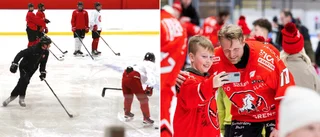 Elitspelarna försvann med 90-talisterna – nu börjar Hästen om