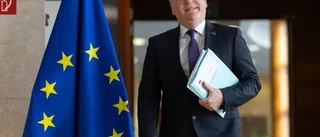 EU planerar "svep" mot nätsajter
