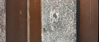 Företag utsatt för skadegörelse under natten