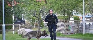 Hus skadat efter explosion – stor polisinsats