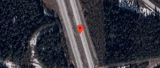 Älg på fel sida viltstängslet på E4