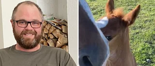 Enköpings unika föl: "Han har ju en skiftnyckel i pannan!"