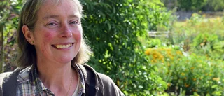 Kulturskolan får pengar från solenergi