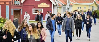 ALV hoppas skapa språkintresse