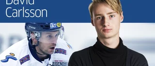 Vad var tanken med Bergfors?