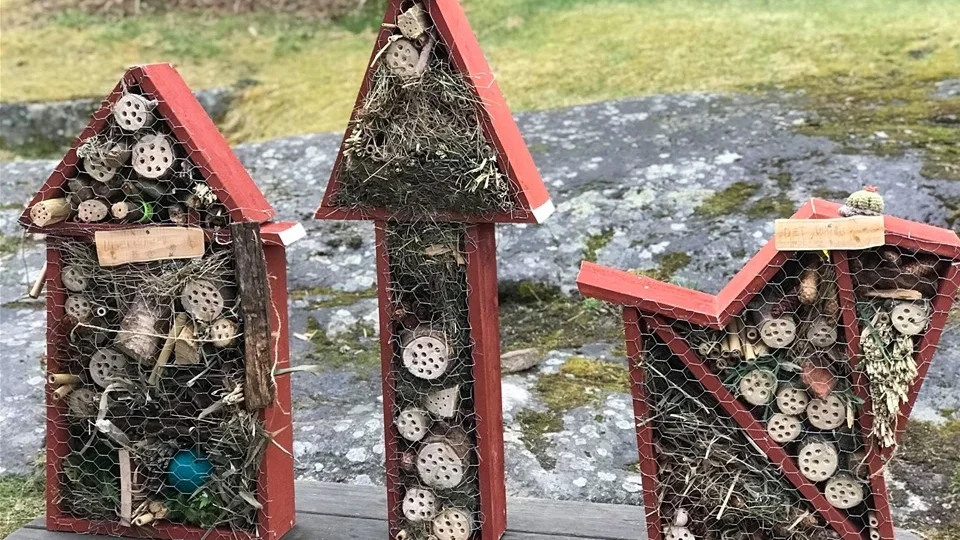 Spårarscouterna i Kisa har arbetat vidare med diskussionerna om insekternas sätt att leva och bo genom att bygga insektshotell. Foto: Kisa Scoutkår