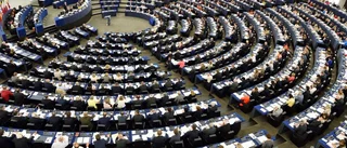 Vilket EU vill vi ha i framtiden?