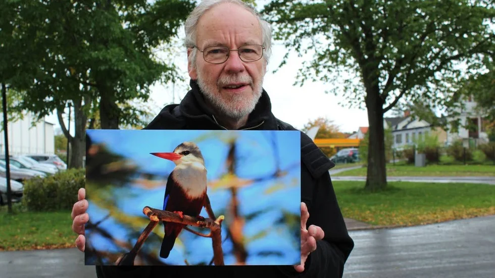 Med kungsfiskare. Ragnar Ottosson med en art av kungsfiskare som bara finns på Kap Verde. Bilden är en av dem som visas i Gamleby.