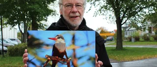 Nu kommer bilderna till Gamleby