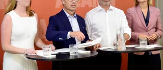 Röriga förslag från alliansen