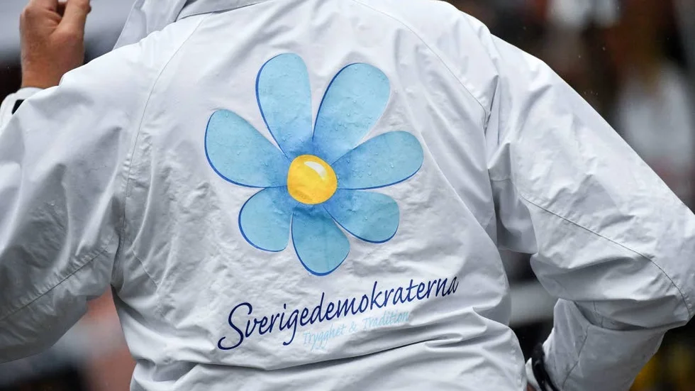 Varför har just SD fått insynsplatser, frågar S, MP och V.