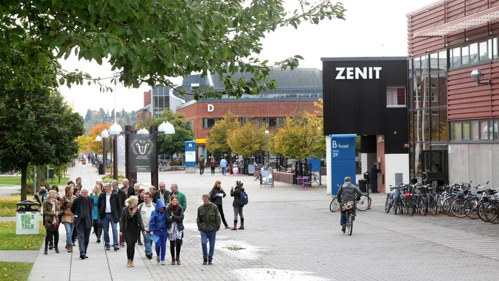 I en undersökning från 2017 uppgav nästan hälften av studenterna negativ stress som ett hinder i studierna, skriver debattörerna.