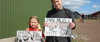 Kosläpp – då kom demonstranterna