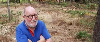 Nu syns skogen för alla träd