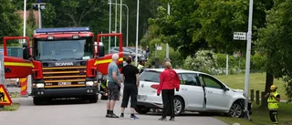 Väjde för hund – körde in i stolpe