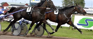 Ledningen blir guld värd i värmen