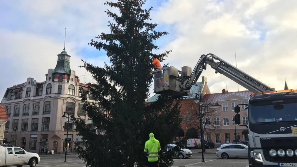 Gran. Årets gran på Stora torget i Västervik är donerad av Blekhems egendom.